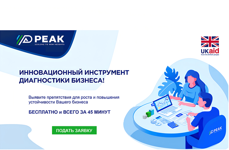 Бесплатная диагностика бизнеса от консультантов PEAK!
